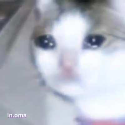 found this on discord