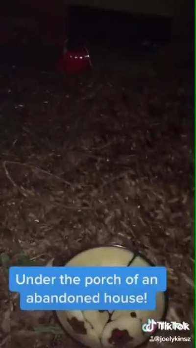 This is some real cute stuff