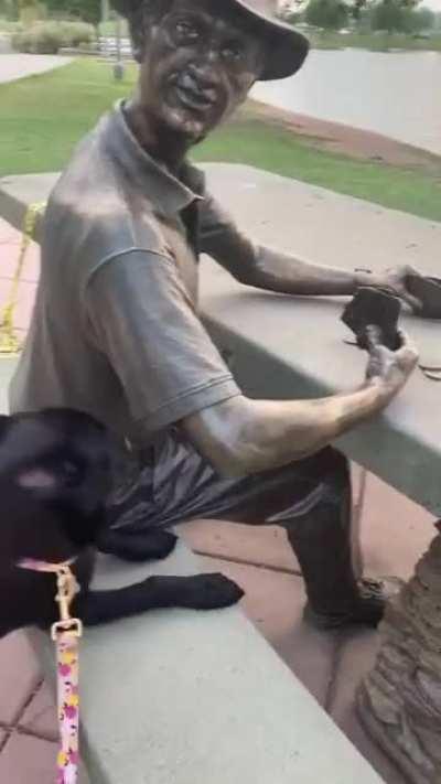 Looking for pets and pats from everyone 😆