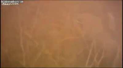 Incredible First Person IED Blast Video (Afghanistan)