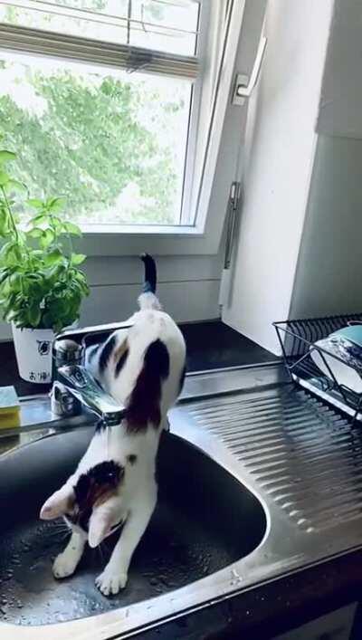 She might have been a fish in a previous life