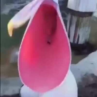 Leave the shitty trends behind, Leave the karma behind, Become truly based and only post for yourself