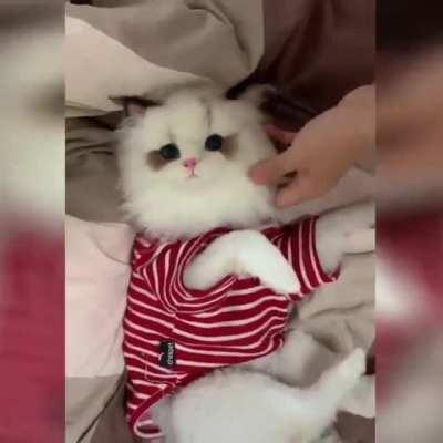 be amazed! Caa---ooog?