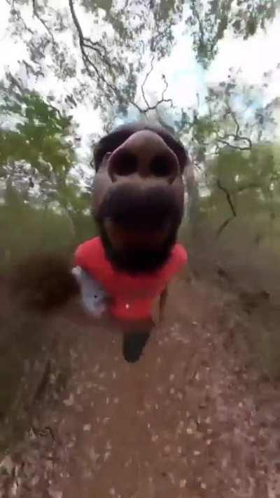 Thanks, I hate picking up the kids