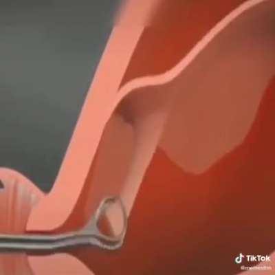 Uhhhh (cred:@incredibleutilitiesitems on tik too)