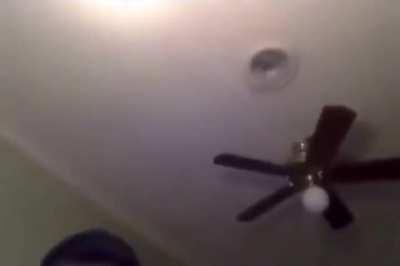 The way he looked at the waffle