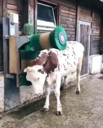 Oh that happy little hop at the end!