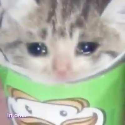 No hablen mas de la Aya