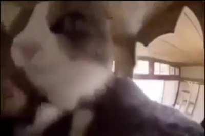 Me when Thursday night dancing