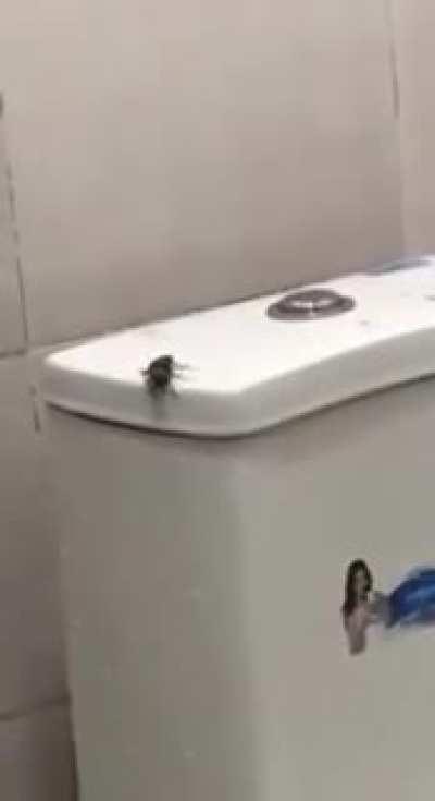 I think something went wrong