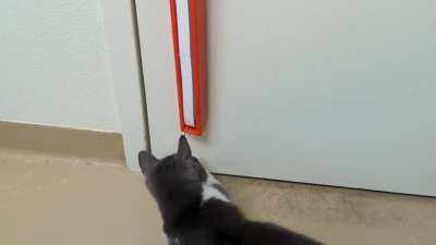 She *very politely* asked me to turn the toy on. I obliged--instant regret lol