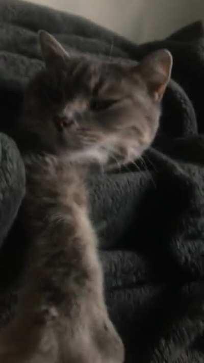 It’s a “bundle up” kind of day in MN