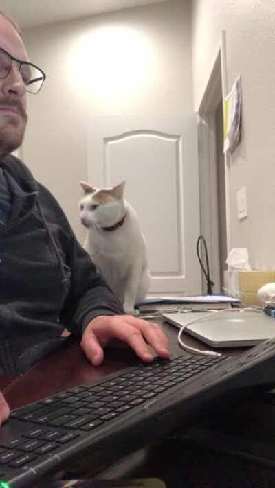 Tyson gets so needy before dinner!