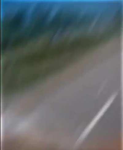 Something about the 65mph draws them in 😩