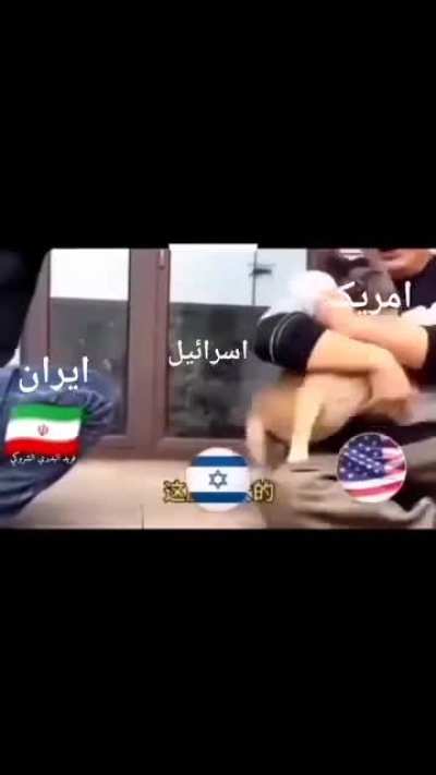 The type of videos my father sends me