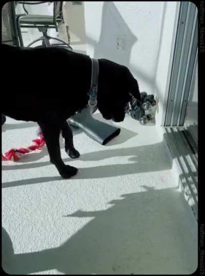 when you realize what's going on