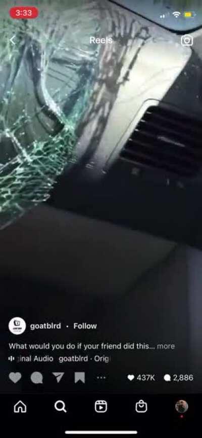 Windshields are the best thing to jump on