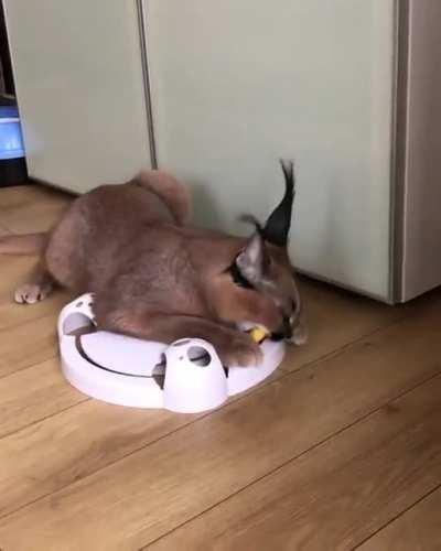 First time posting here