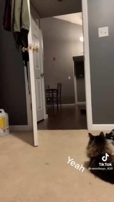 Dude clearly has his priorities in order! (NSFW language warning)