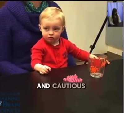 This study demonstrates how arguments between parents affect the emotional regulation of children