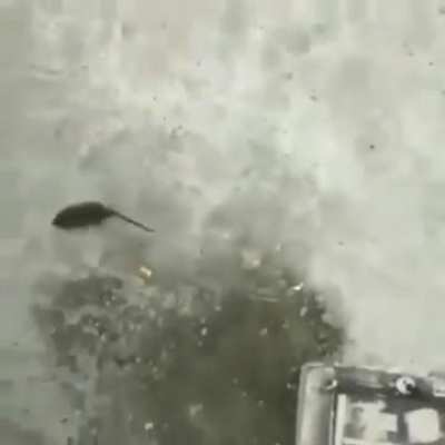 me in a custom match get obliterated by a ka 52 while im in a tiger g