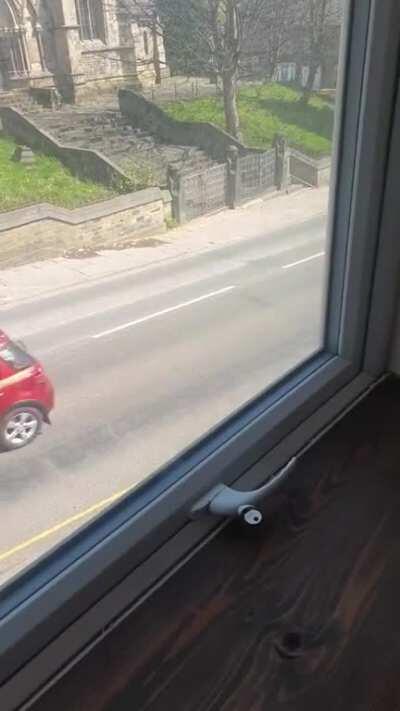 What a beautiful day outside!