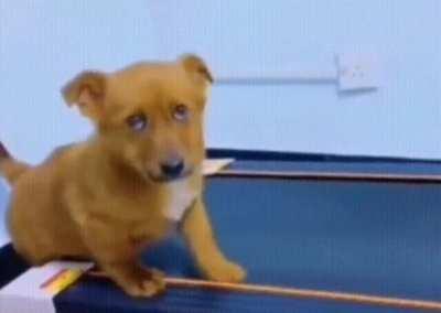 Only feel like burning 1/2 the calories today