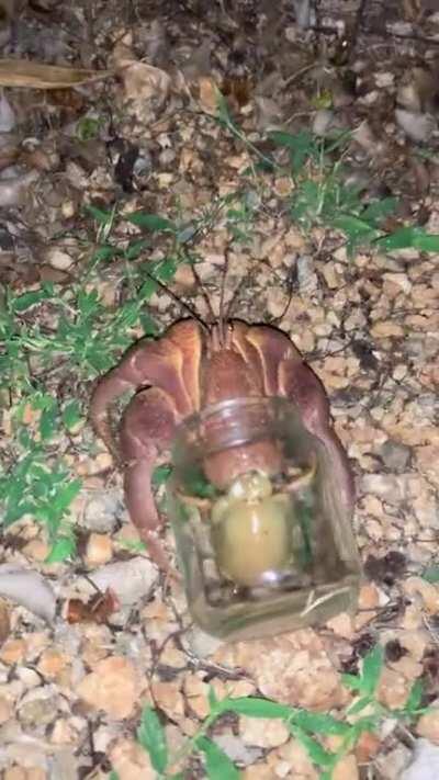 Desperate times call for desperate measures