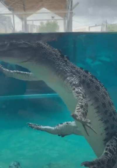 Indo buscar o fred !peguei em um red ta pagina inicial