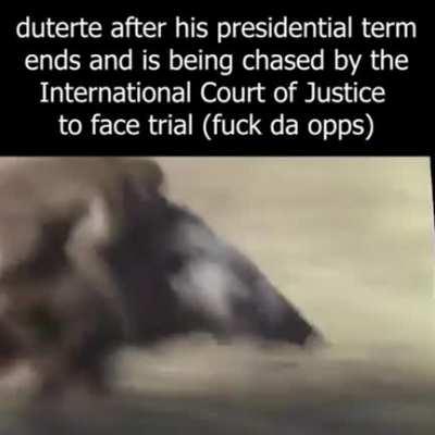 on the run from ICC 💪💪💪