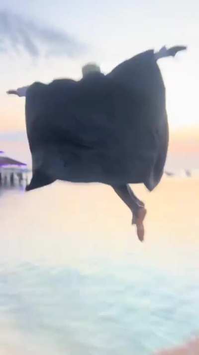 So what was the point of this?