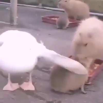 You are not yourself when you're hungry =)