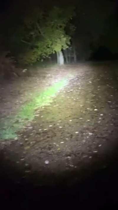 Captured in England, Worksop (Clumber Park)