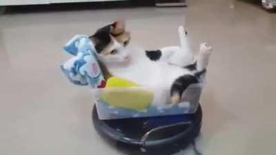 This CAT is M O B I L E