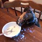 Ok you can stop now!