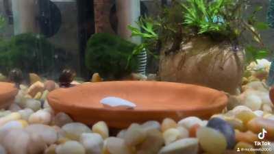 Dude has been doing this for like 15 minutes