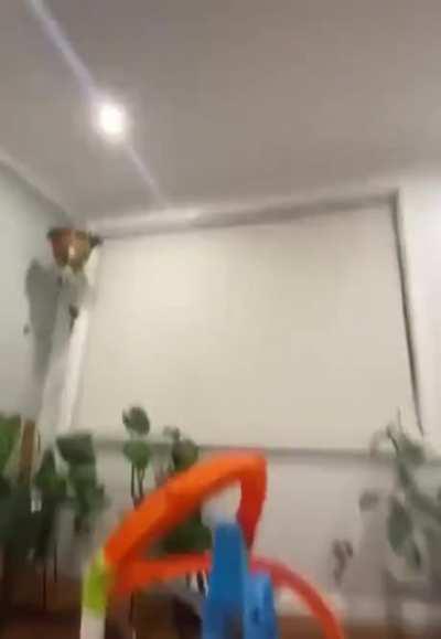 This Hot Wheels loop hase some serious power 🔥