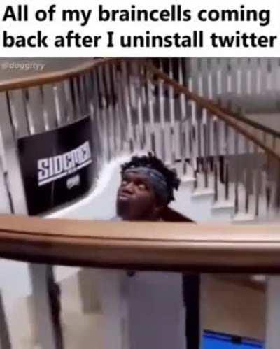 True. Do yourself a favor and delete twitter.