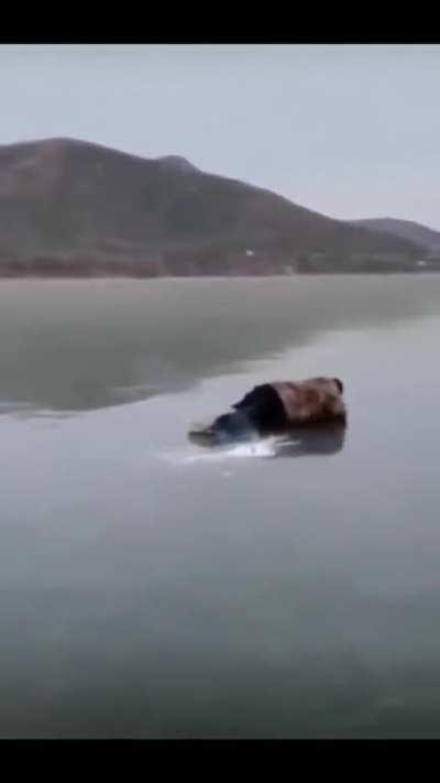 Boyz. Beer and Bang. What could go wrong?💥 ~S~ Wonder if he made it off the ice without a cold bath?🫣