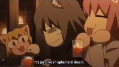 The cats discuss life