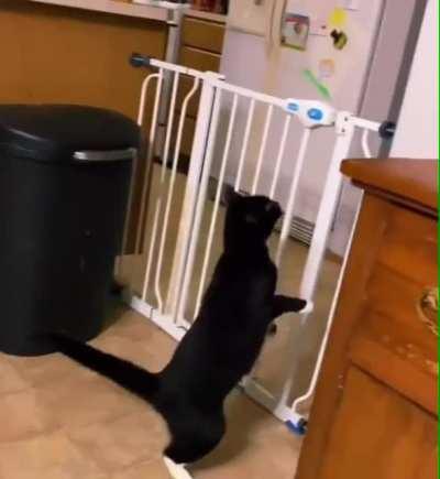 Careful planning leads to perfect execution