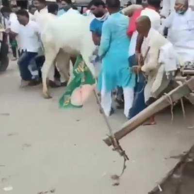 World's largest democracy!!1!