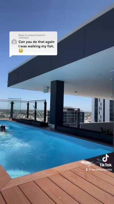 Up close &amp;amp; personal @hardlifeofgoldie