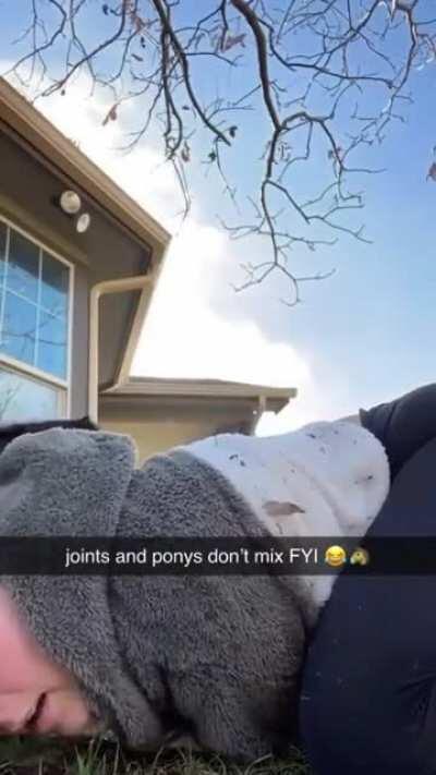 Won some bruised ribs