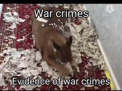 Just doing what anyone would do