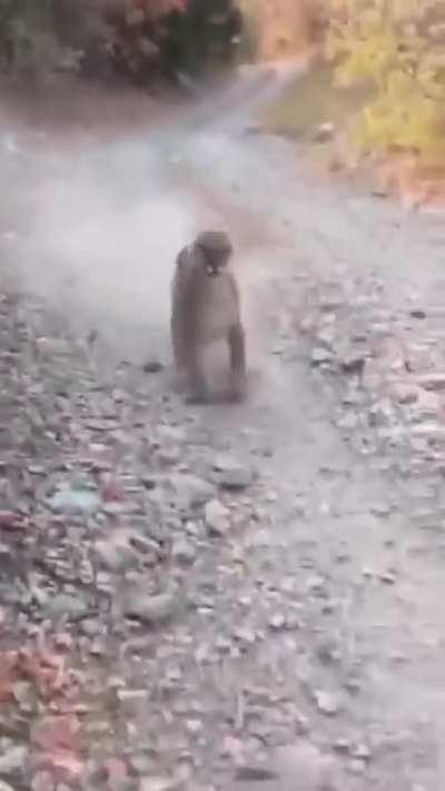 Exploring wilderness alone is not a good idea