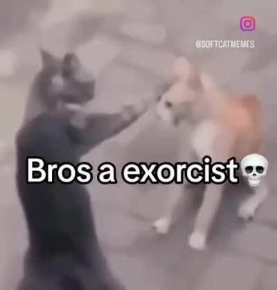 Gato exorcista