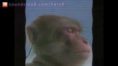 İns*nlara Diss 😡😡