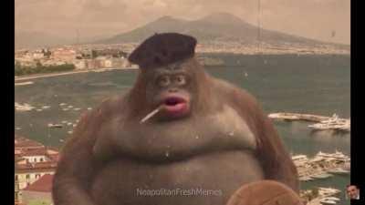 Le Monke is Living So Italian 🇮🇹🇮🇹 🇮🇹