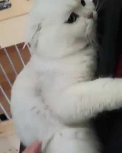 Still A Fluffy Baby Boy And Always Will Be